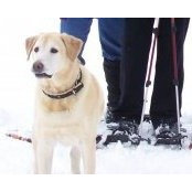 Marne' Schwartz's photo