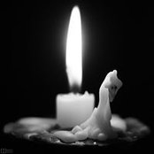 Fee Riel's photo