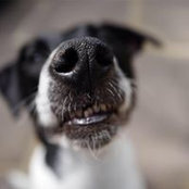 Sharon Allard's photo