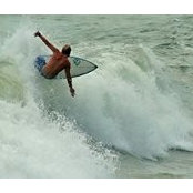 Bryan Foley's photo