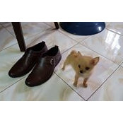 Arnel Valderama's photo