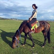 Nicole Su's photo