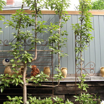 Espalier pear and found trellising
