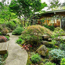 Japanese Garden