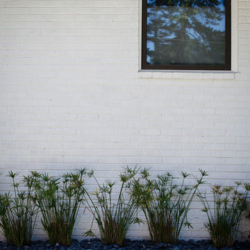 Midcentury modern landscape