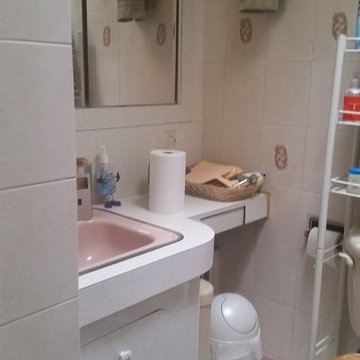 Before renovation . Outdated bathroom
