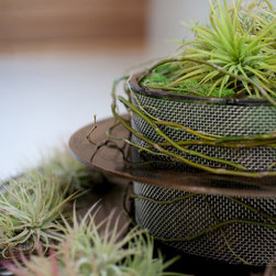 Holiday Wreaths - Outdoor Decor