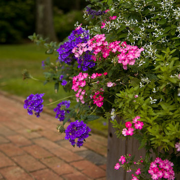 Planters