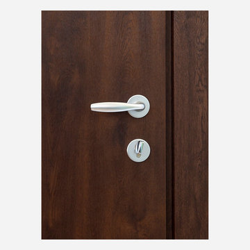 North Entry Door - Handle
