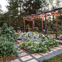 Backyard landscaping ideas