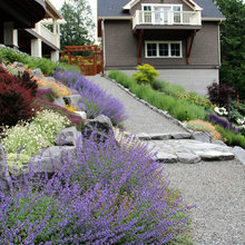 Hill Side Ideas