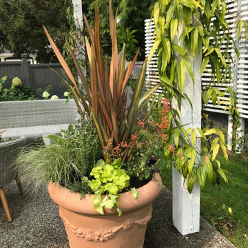 Mediterranean Garden in Tsawwassen
