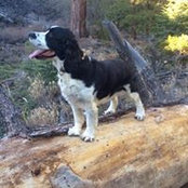 Kelly Herrell's photo