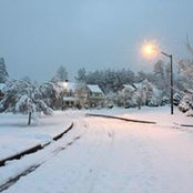 Alec Brock's photo