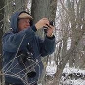 Foto von Dan Wilcox