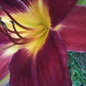 Beth Goodwin's photo
