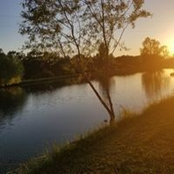 Daniela Connell's photo