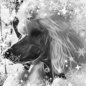 Babette Billons foto