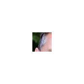 P's photo