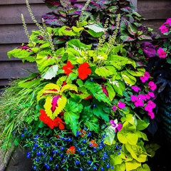 The GrassRoots Landscape Company