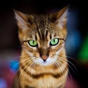 Huma Noide's photo