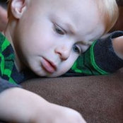 Laura Sedenka's photo