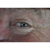 Tom Hines's photo