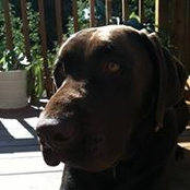 Gar Rios's photo