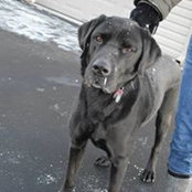 Wendi Ann's photo