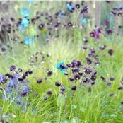 Maria Abuin's photo