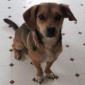 Donna Dallaire's photo