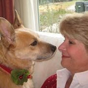 Shelley Ackermans foto