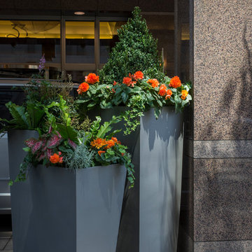 Summer Flower Containers & Annual Display