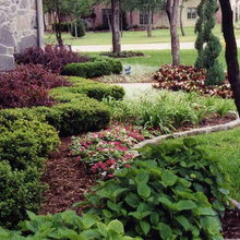 landscaping