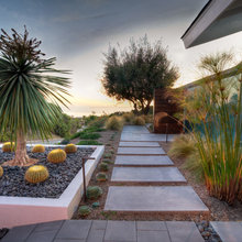 backyard landscape 2022