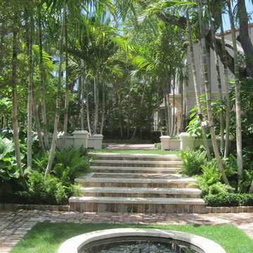 Tropical Paradise