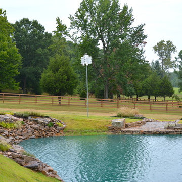 A Creek Dream