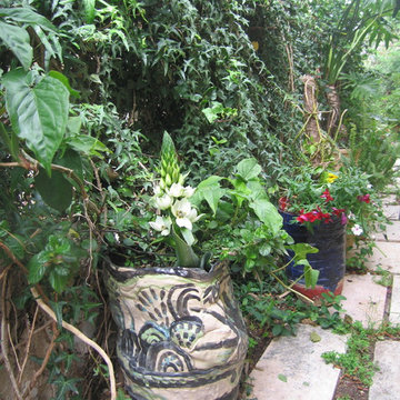 houses and gardens in Israel
