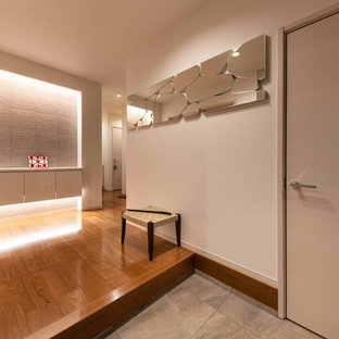 Новые идеи обустройства дома: большая узкая прихожая в современном стиле с белыми стенами, полом из фанеры, двустворчатой входной дверью и коричневым полом