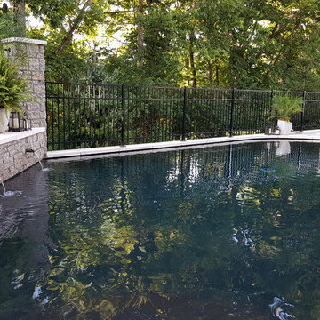 Lexington residential swimming pool project