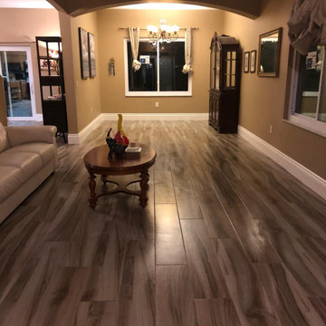 Furry friendly house