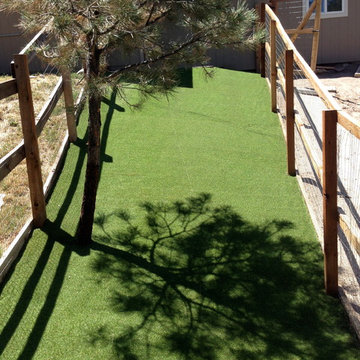 Dog Run