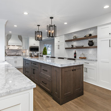Kitchen Remodel Burr Ridge