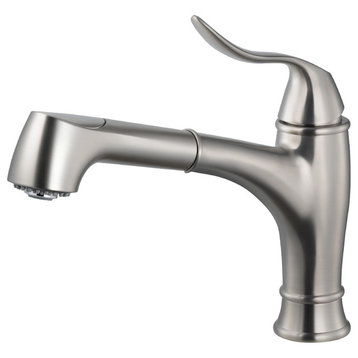 Surge Pull Out Kitchen Faucet With CeraDox Technology