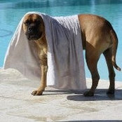 Foto von Guy Corte