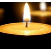 Suz Studebaker's photo