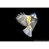 Anna Boj's photo
