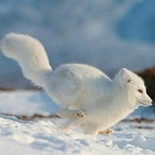Foto von Cathleen Cory Smith