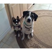 Joann Provetto's photo