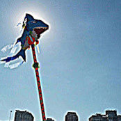 Michael Howlett's photo